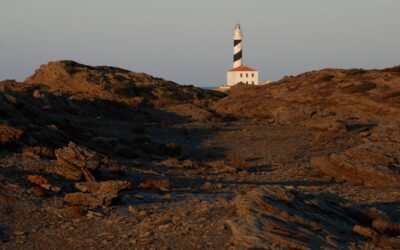 How to create lighthouse reports in batch using linux and chrome cli headless